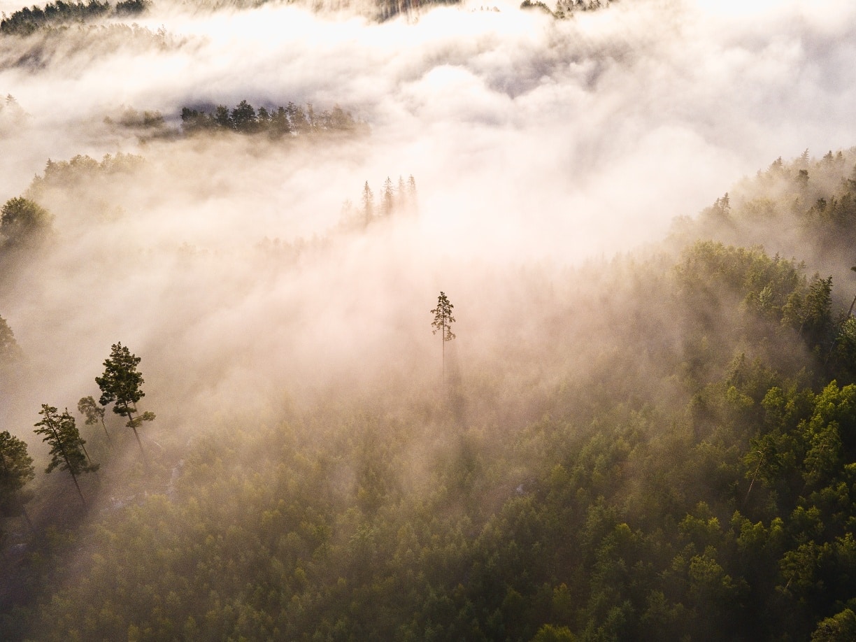 Drone Images