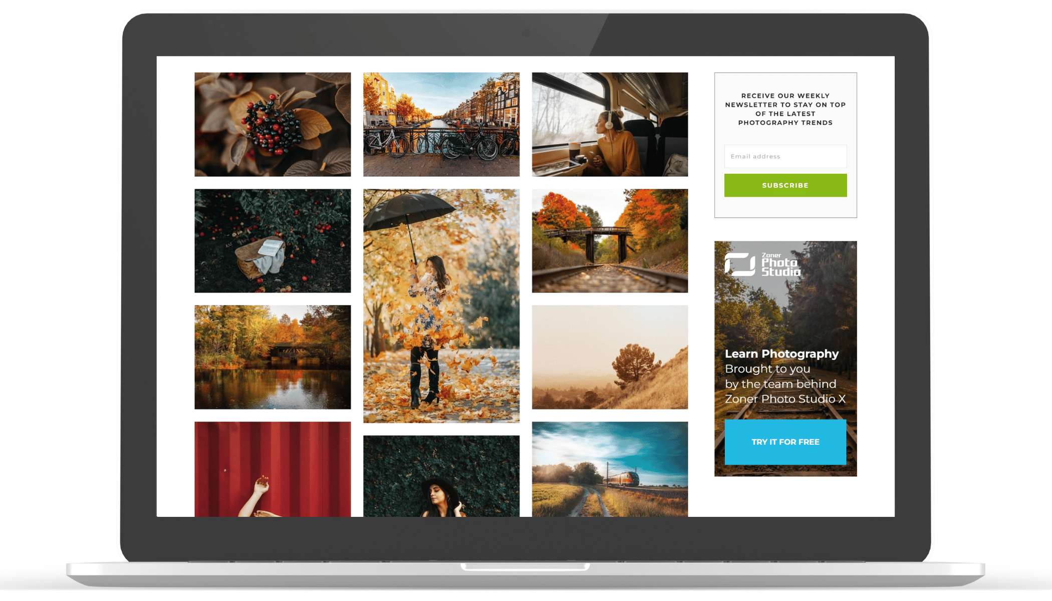 Create a Web Gallery with Zonerama