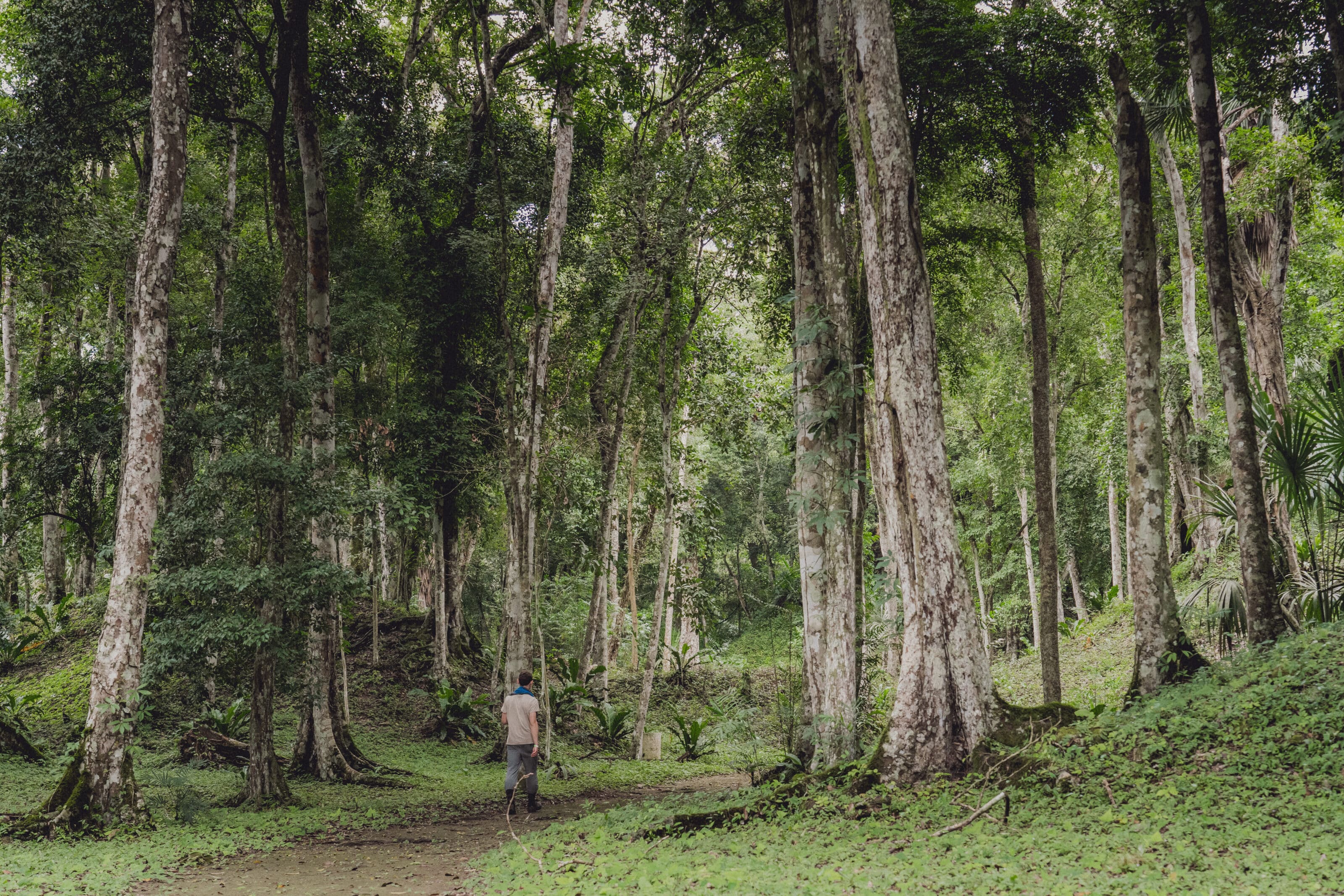 Mexico and Guatemala