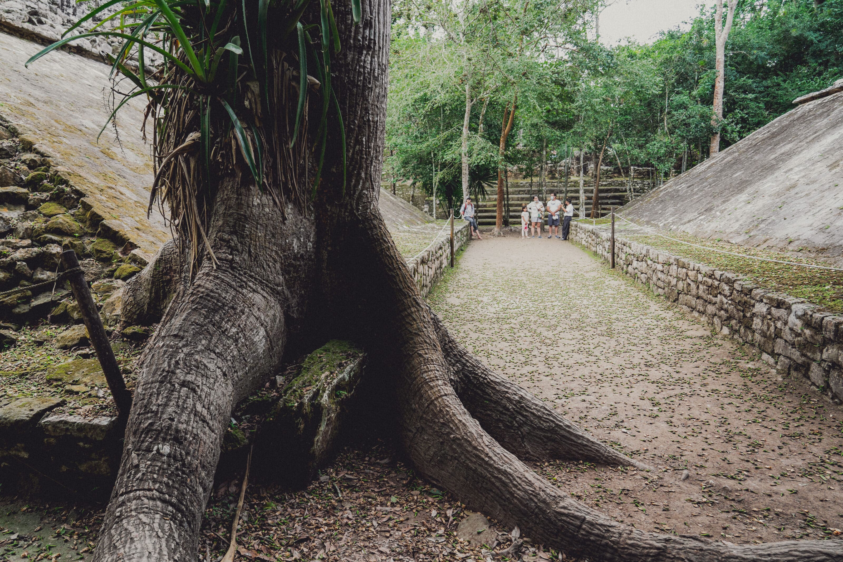 Mexico and Guatemala