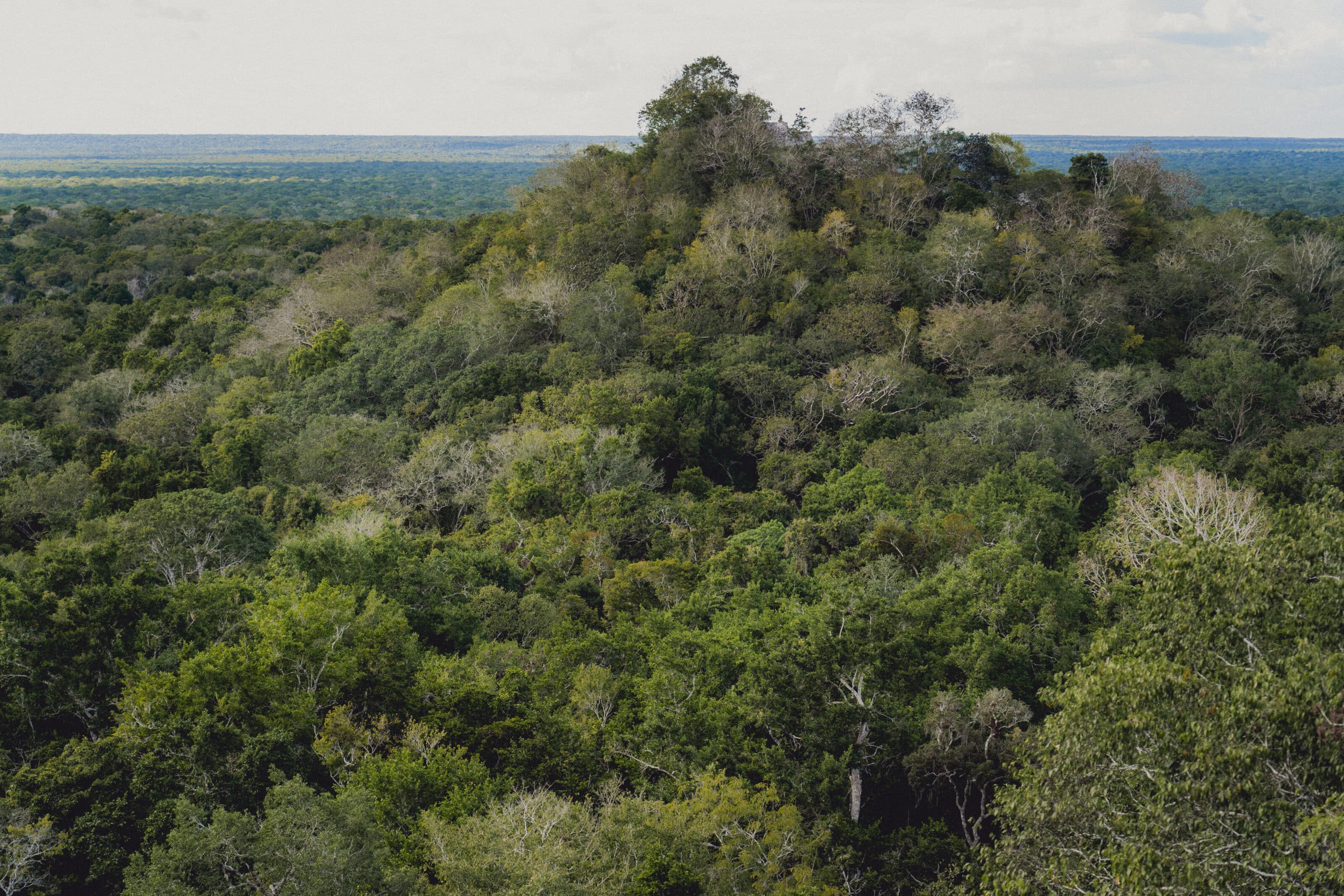 Mexico and Guatemala