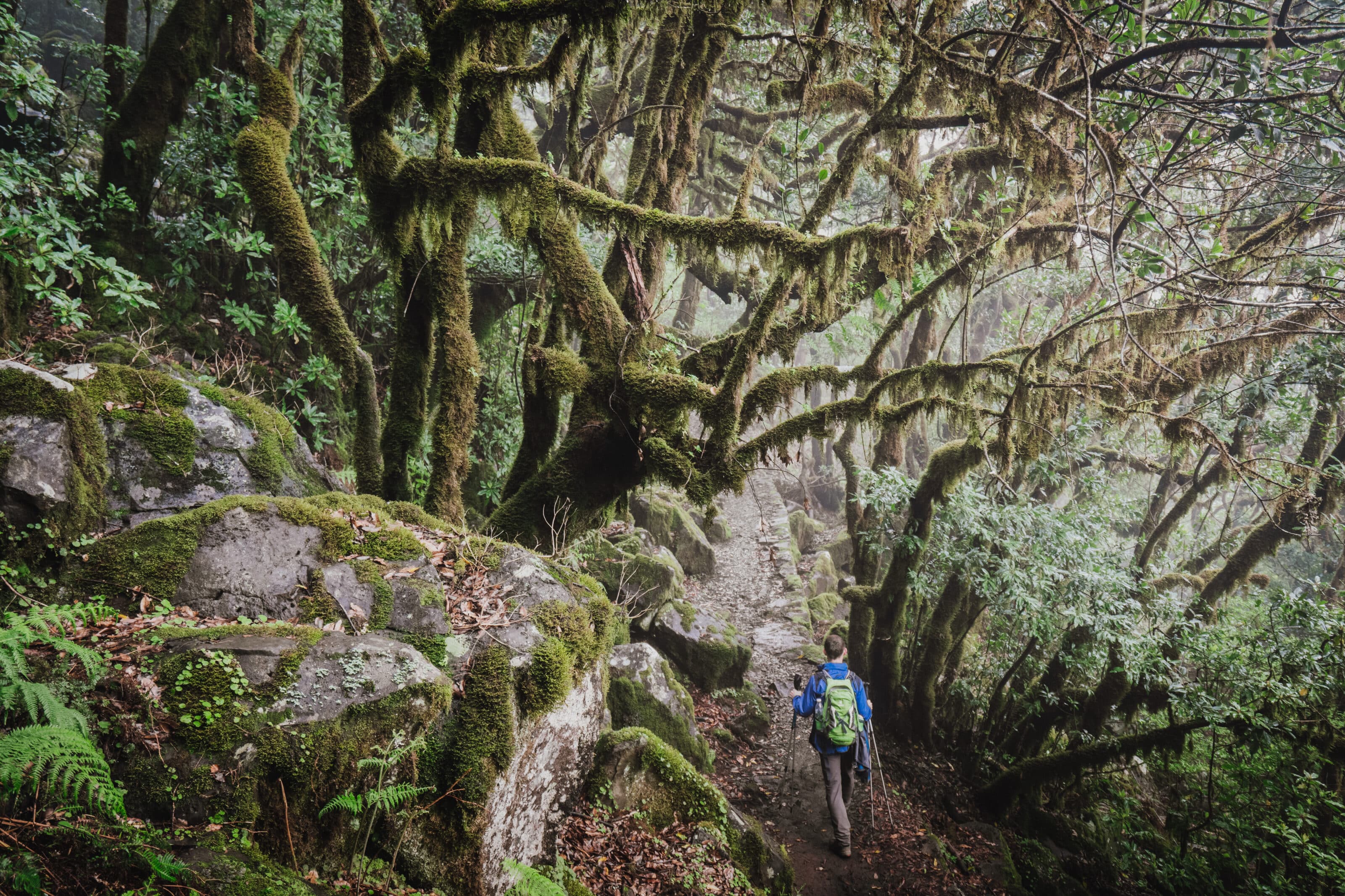 Madeira - a Photographer’s Paradise