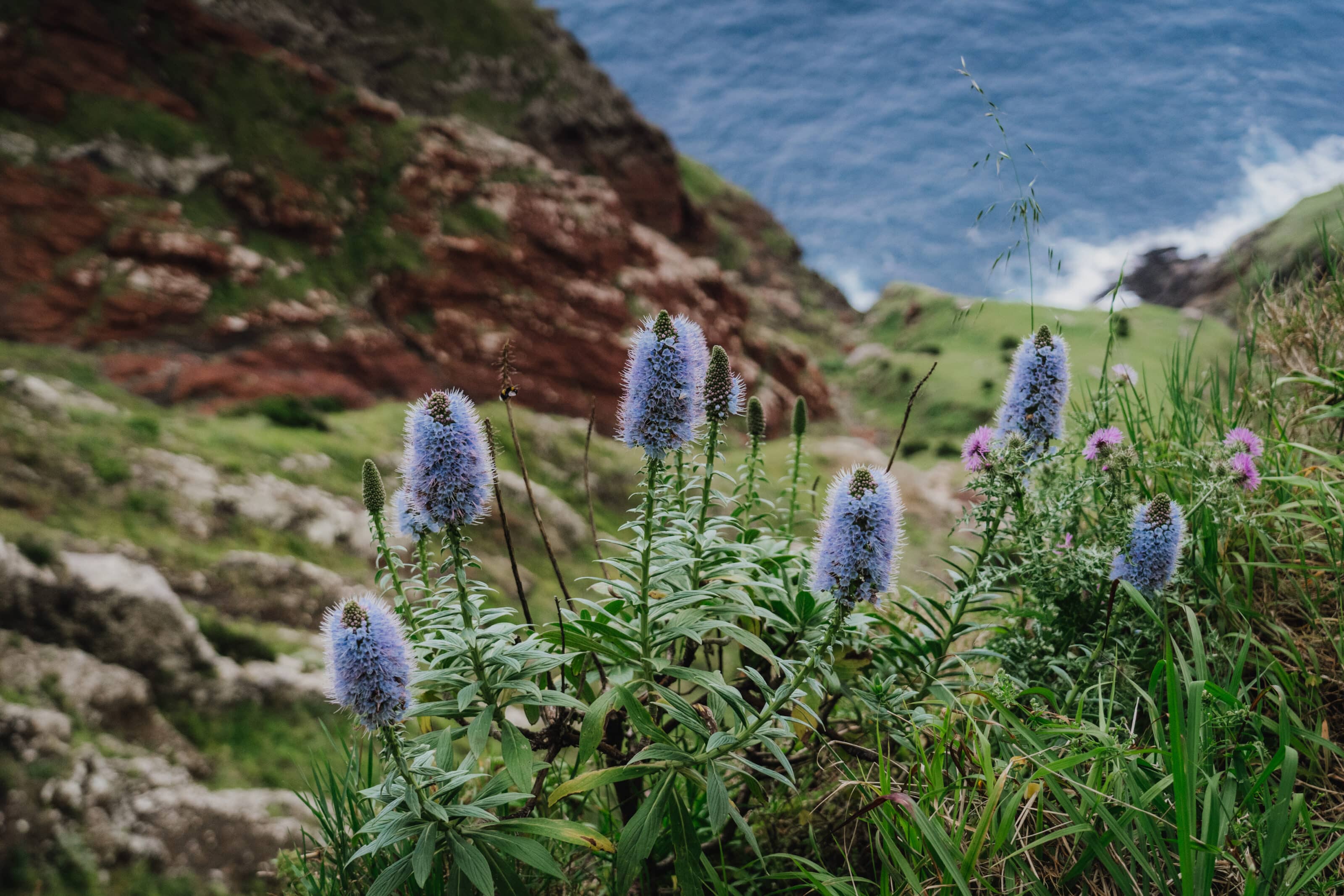 Madeira - a Photographer’s Paradise