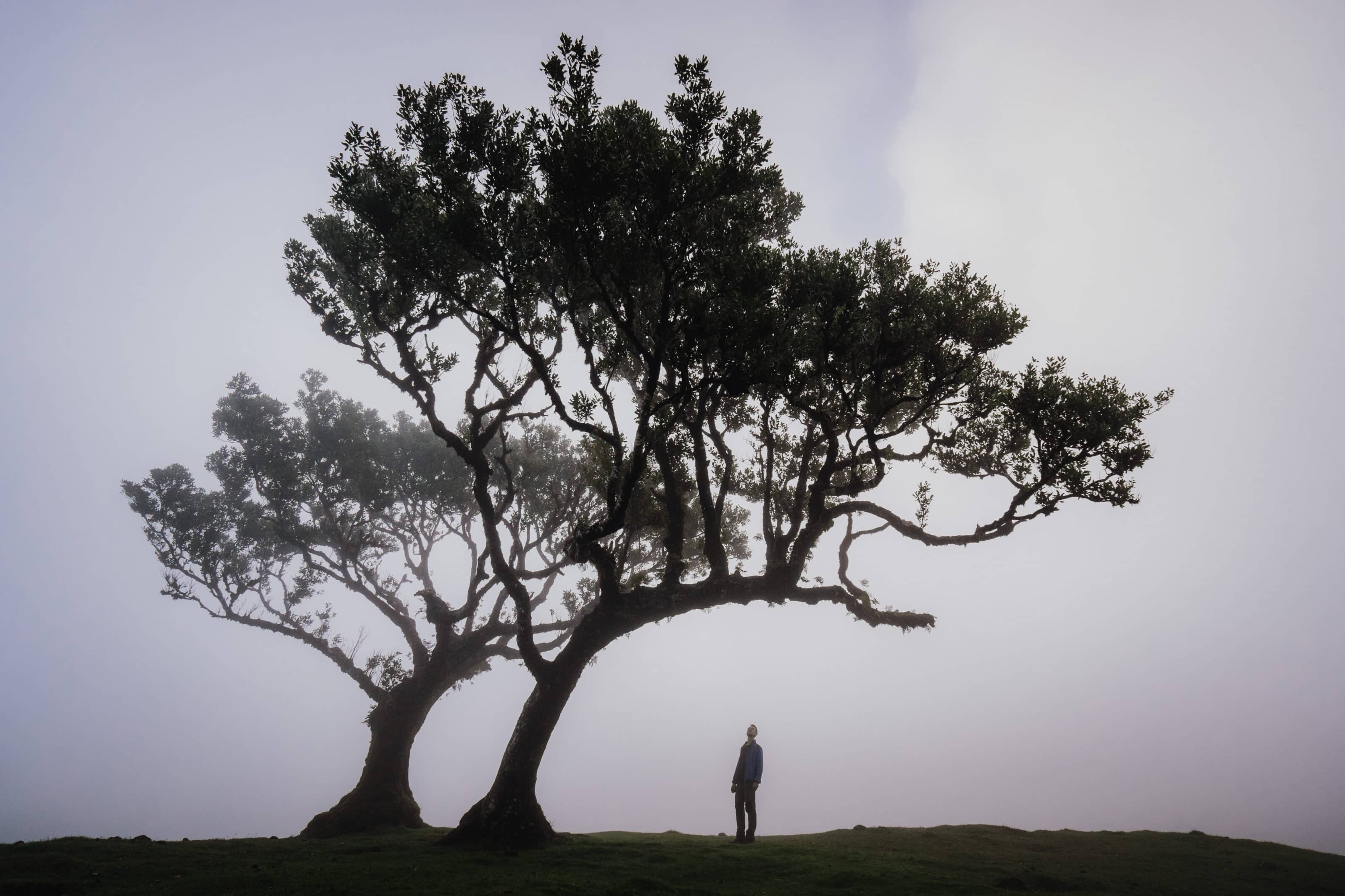 Madeira - a Photographer’s Paradise