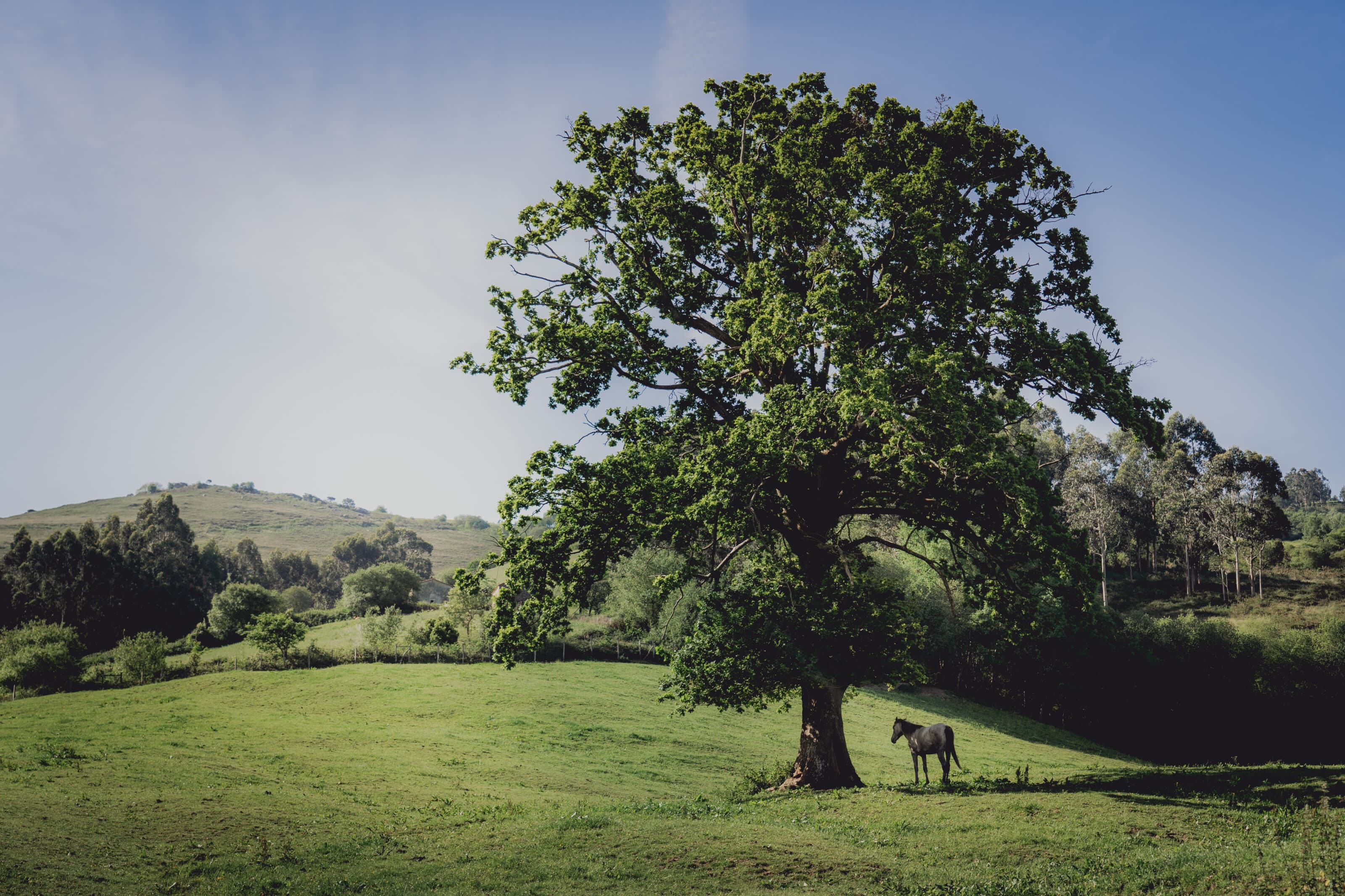 Photography along the Way of St. James