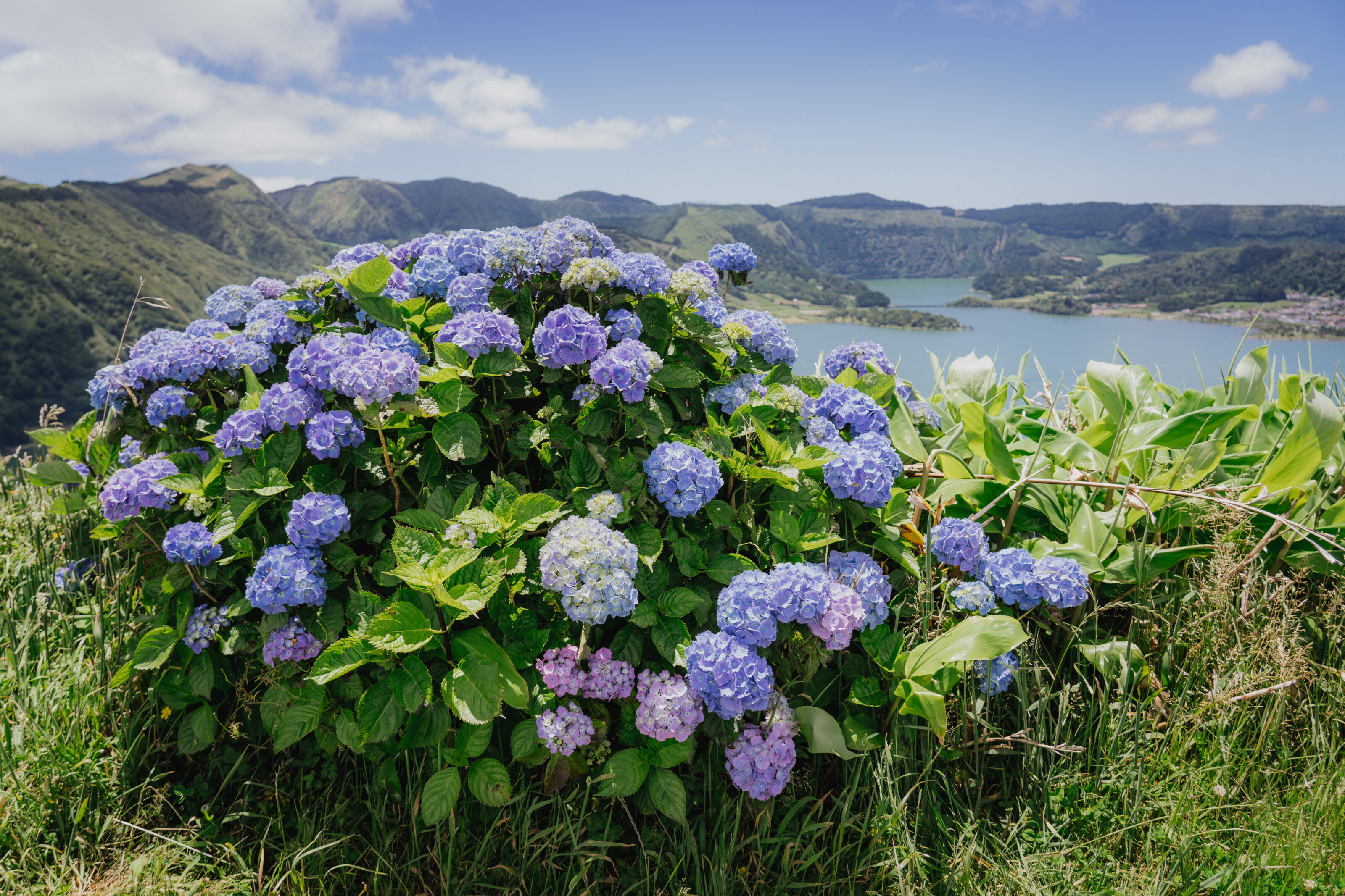 The Azores