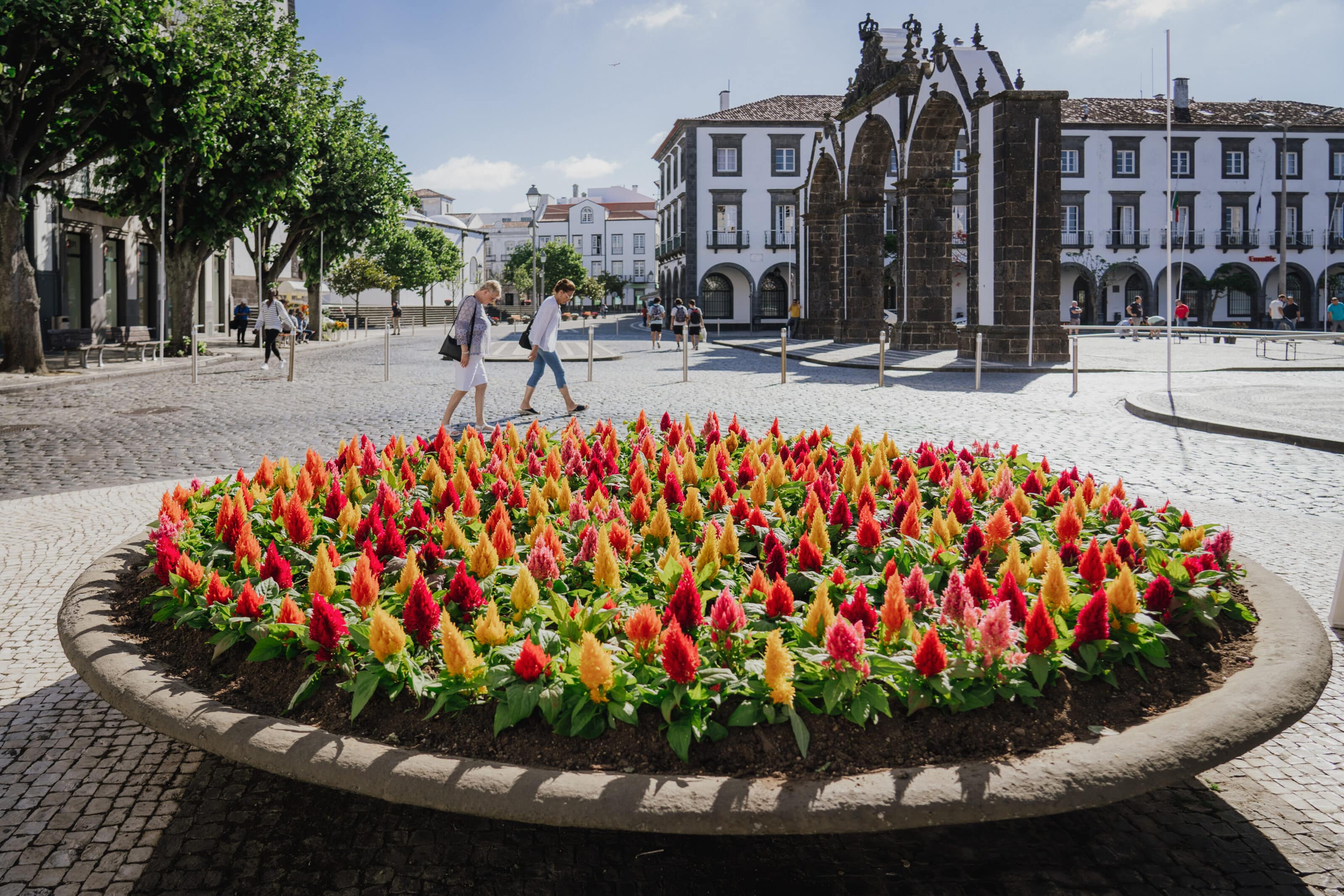 The Azores
