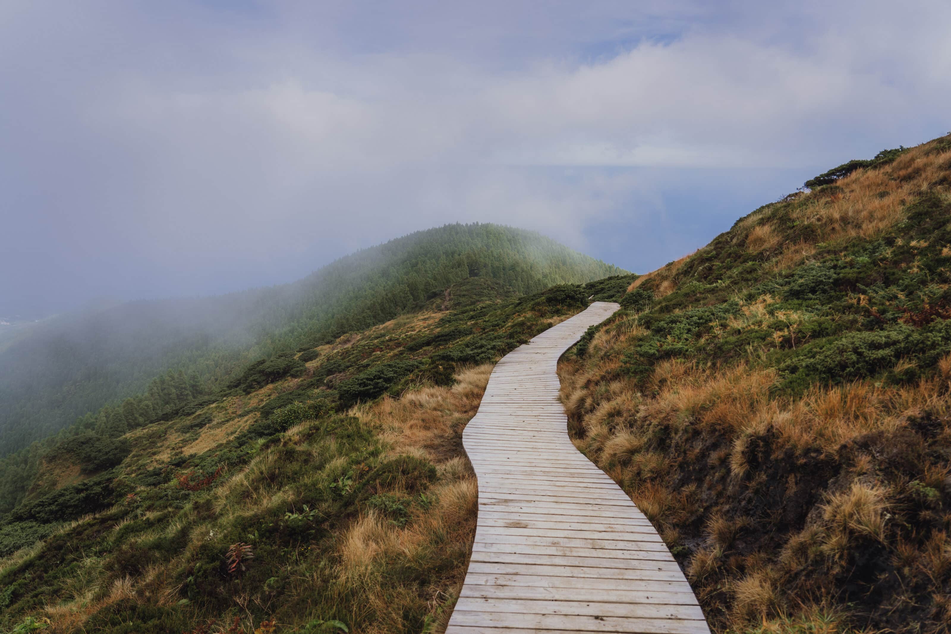 The Azores