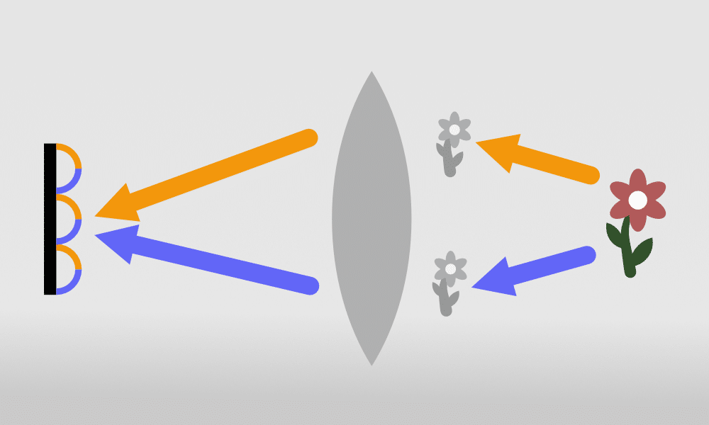 Autofocus in Mirrorless Cameras