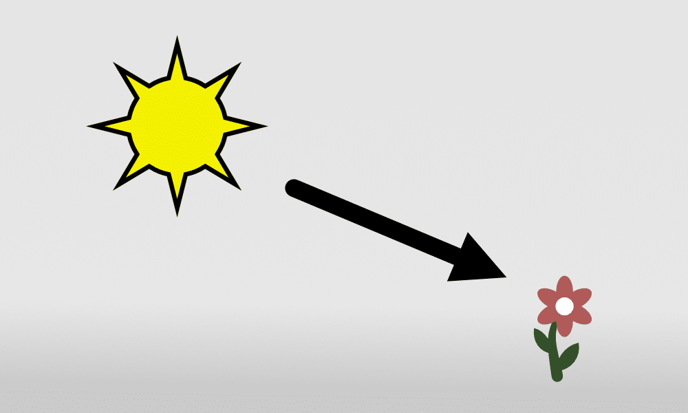 Autofocus in Mirrorless Cameras