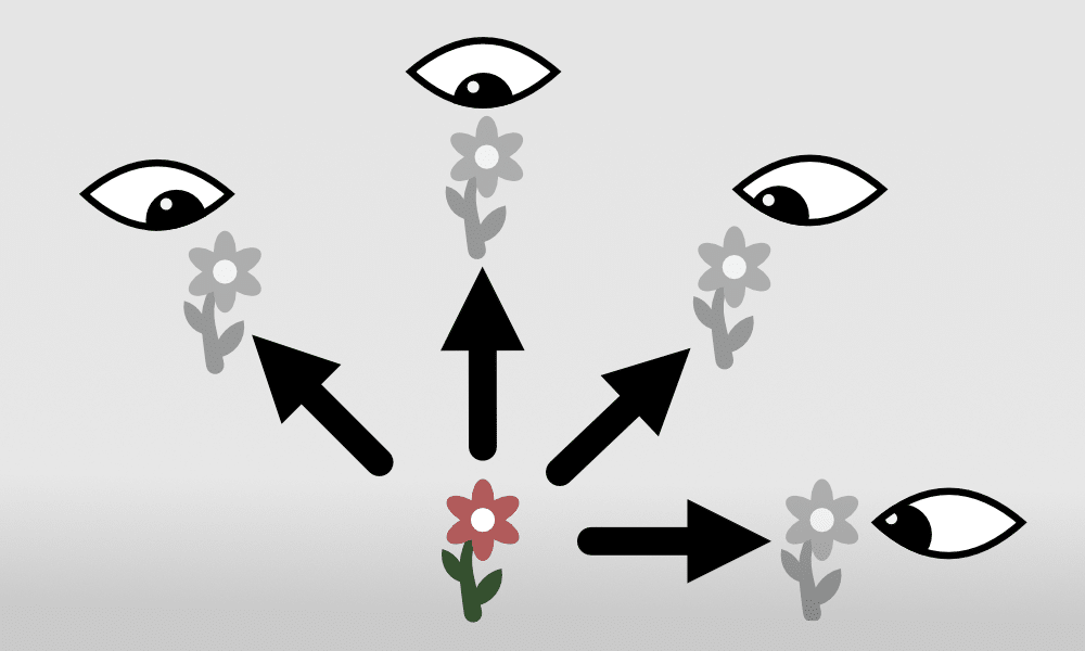 Autofocus in Mirrorless Cameras