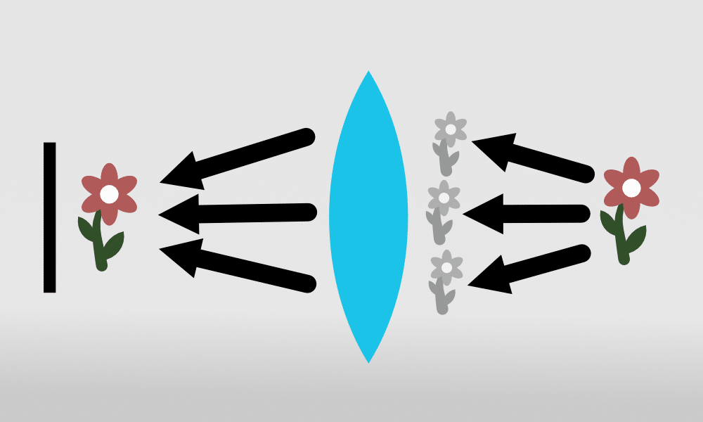 Autofocus in Mirrorless Cameras