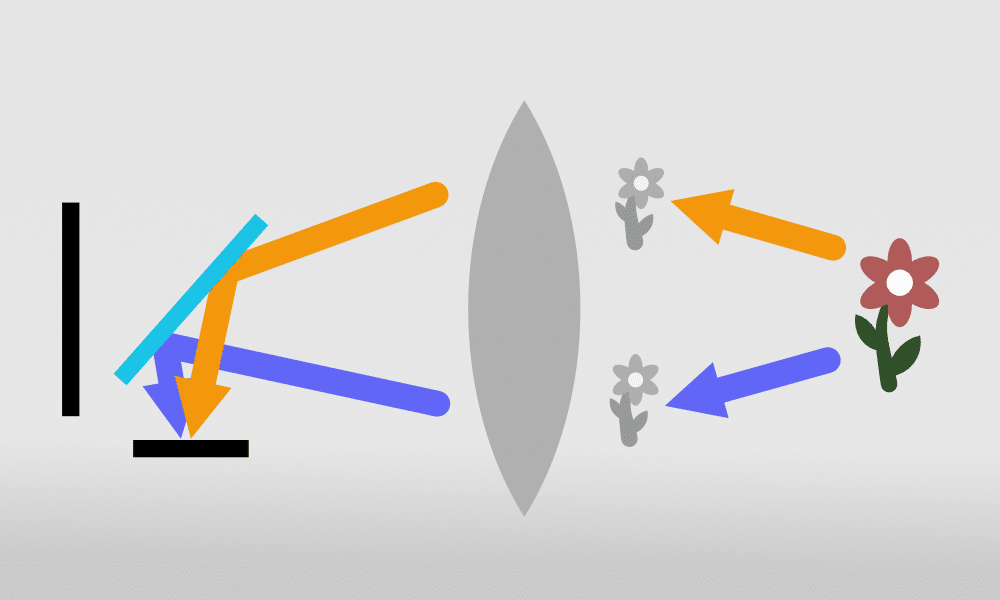 Autofocus in Mirrorless Cameras