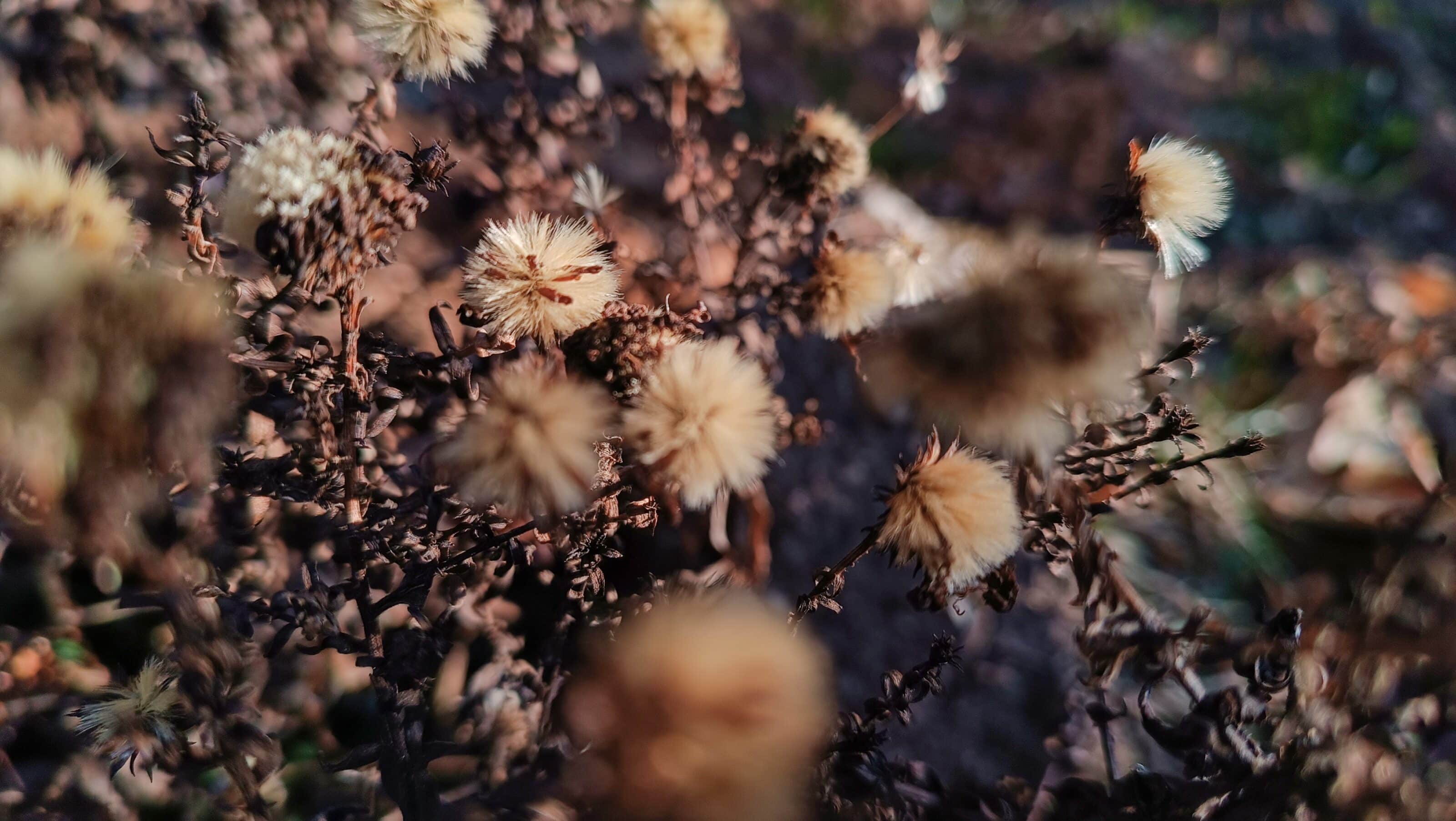 How To Get Good Photos in Bad Weather