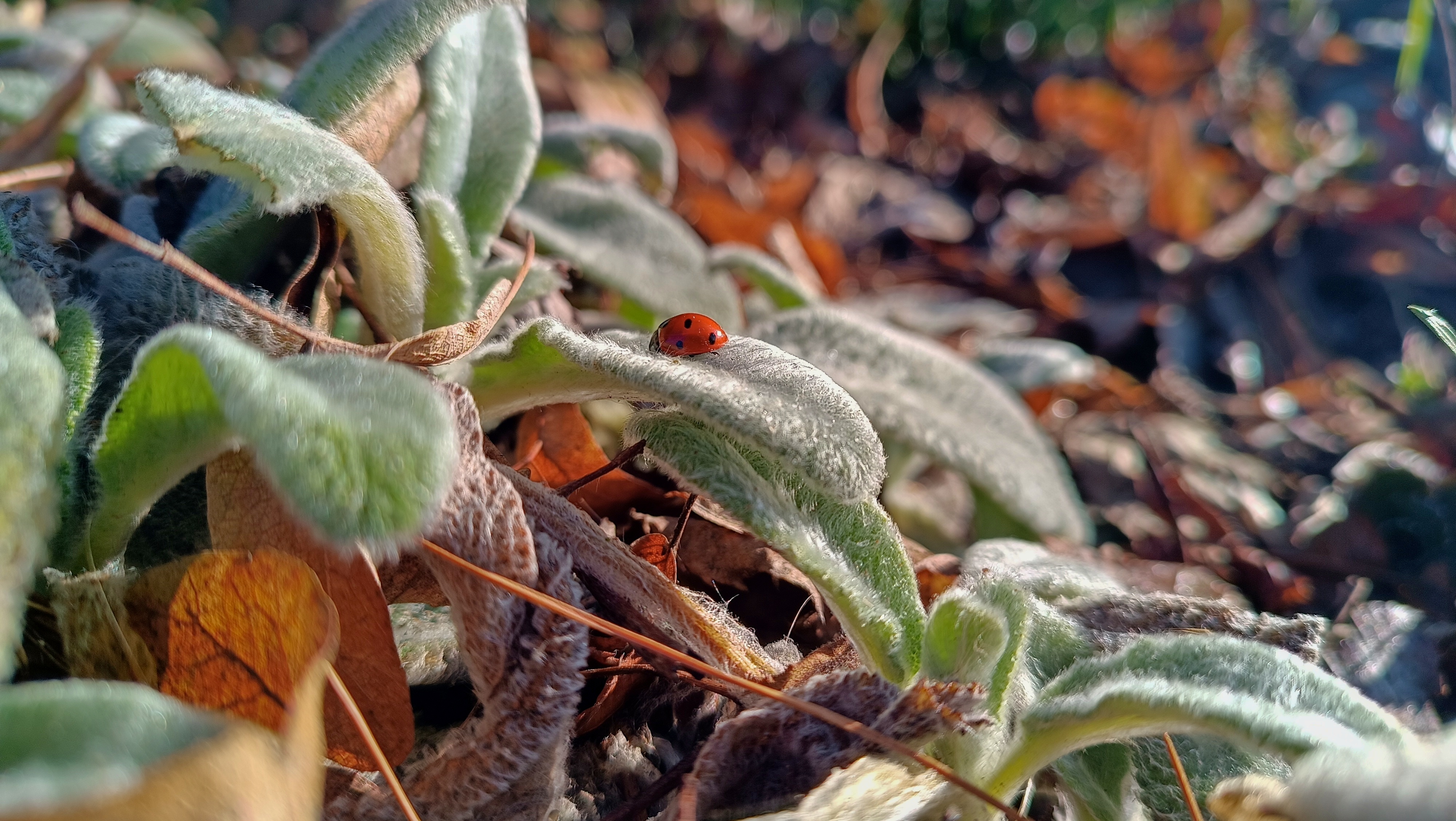 How To Get Good Photos in Bad Weather