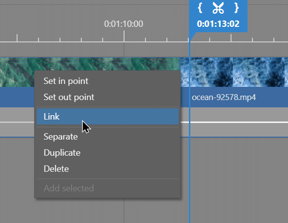 Video Module