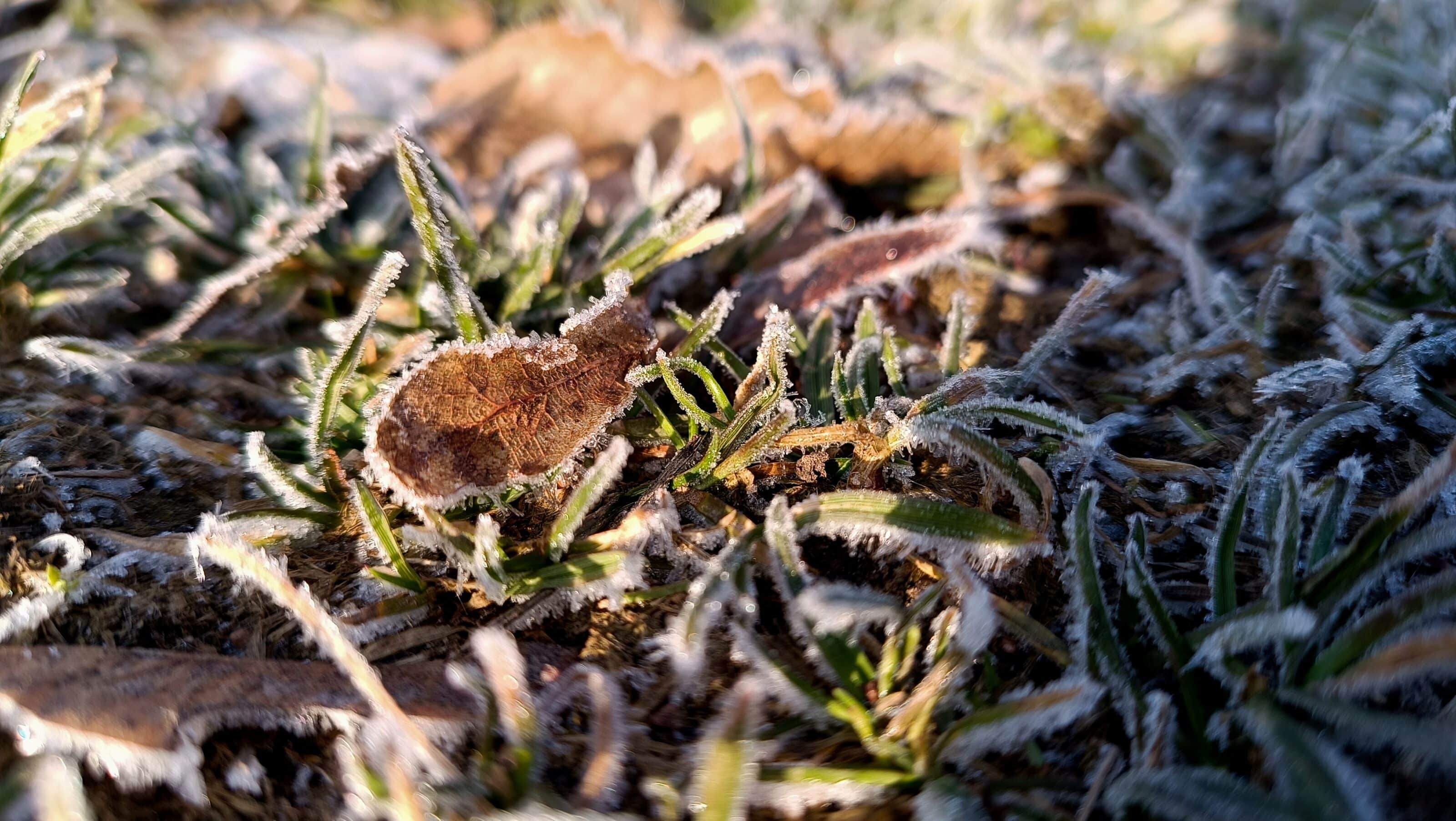 Pre-Spring Photography How To Get Good Photos in Bad Weather