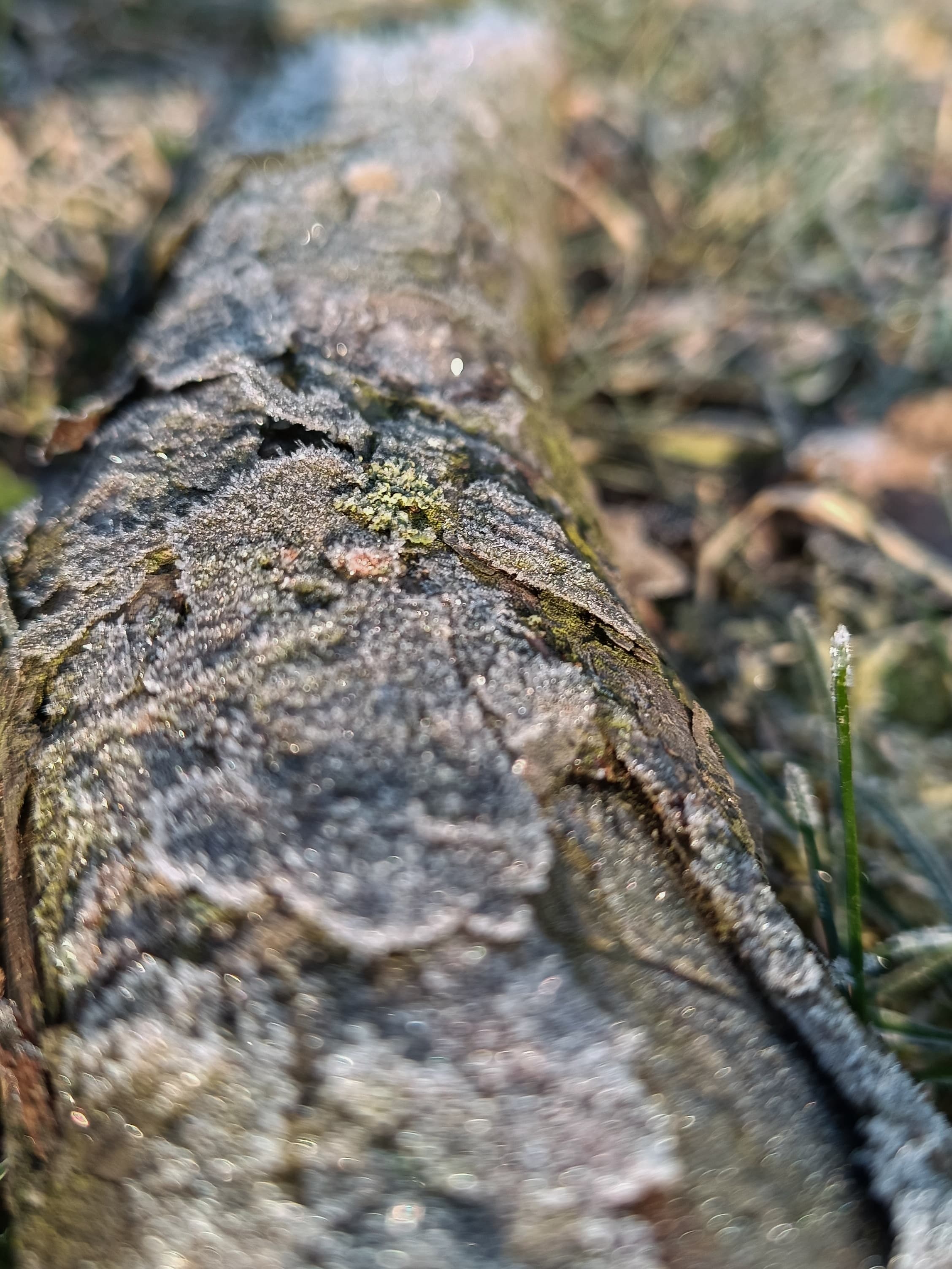 How To Get Good Photos in Bad Weather