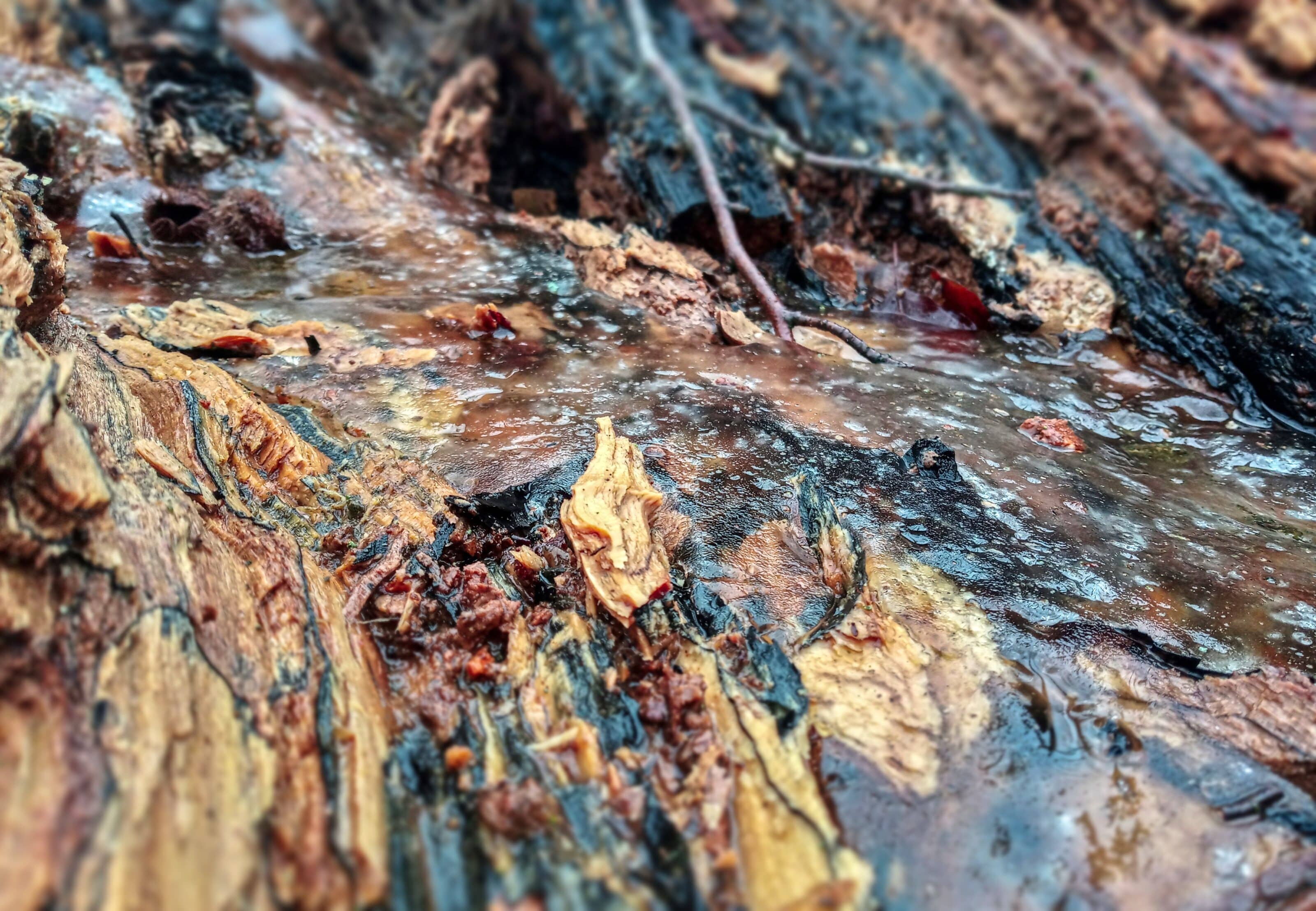 How To Get Good Photos in Bad Weather