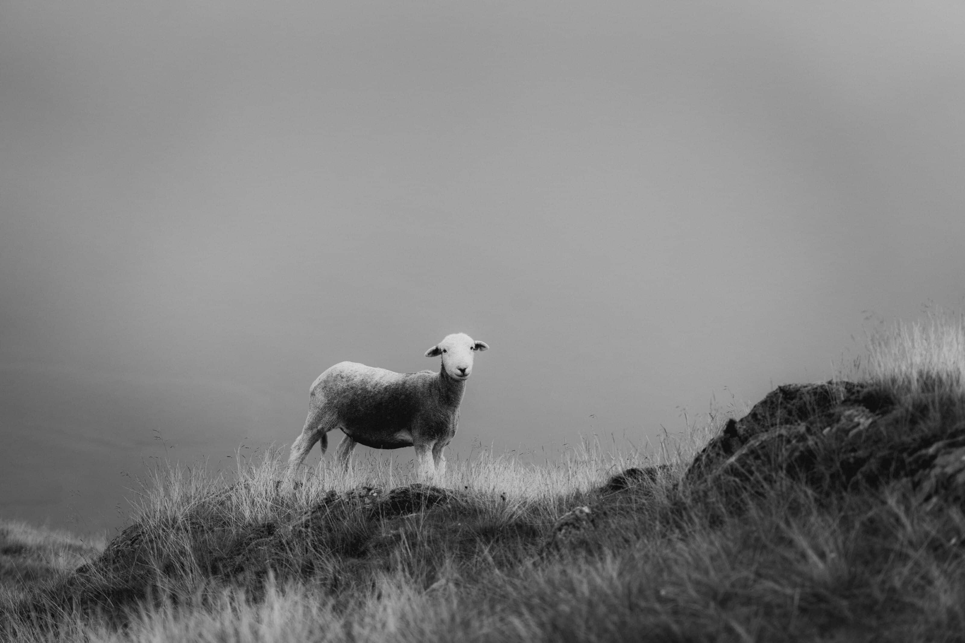 Northern England’s National Parks