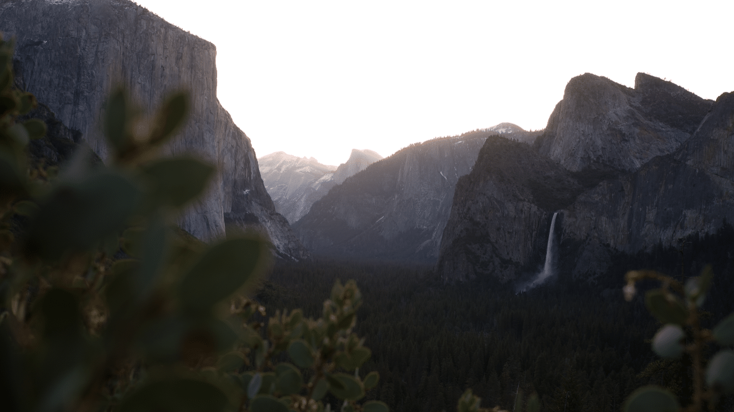 Basic Adjustments for Livening up Photos