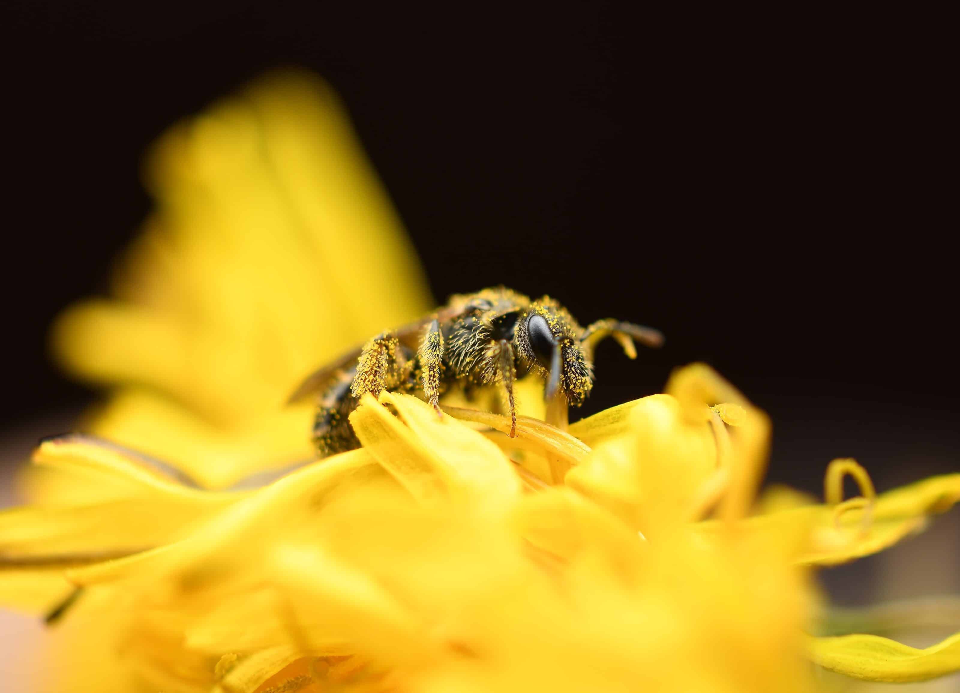 Interview Michal Bogár