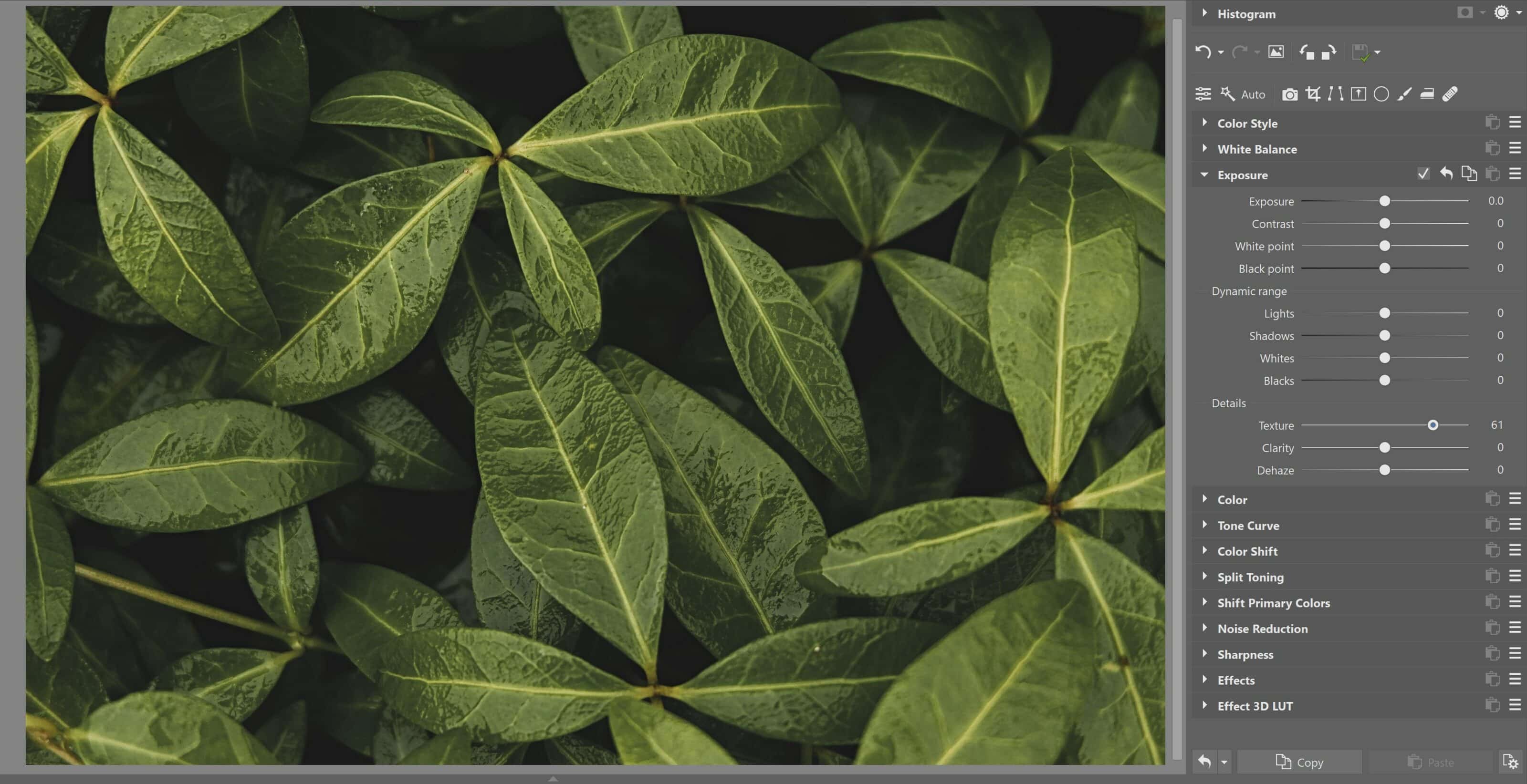 Make Your Photos More Dynamic with Clarity and Texture | Learn ...