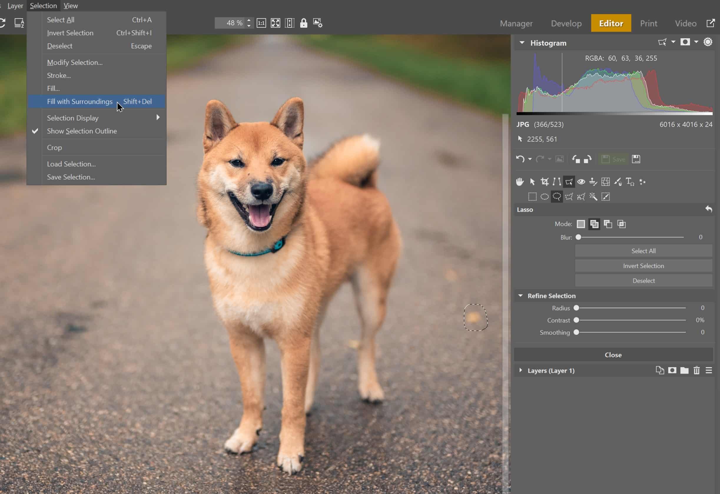 How to Retouch Away Wires, Trash, and More in Your Photos