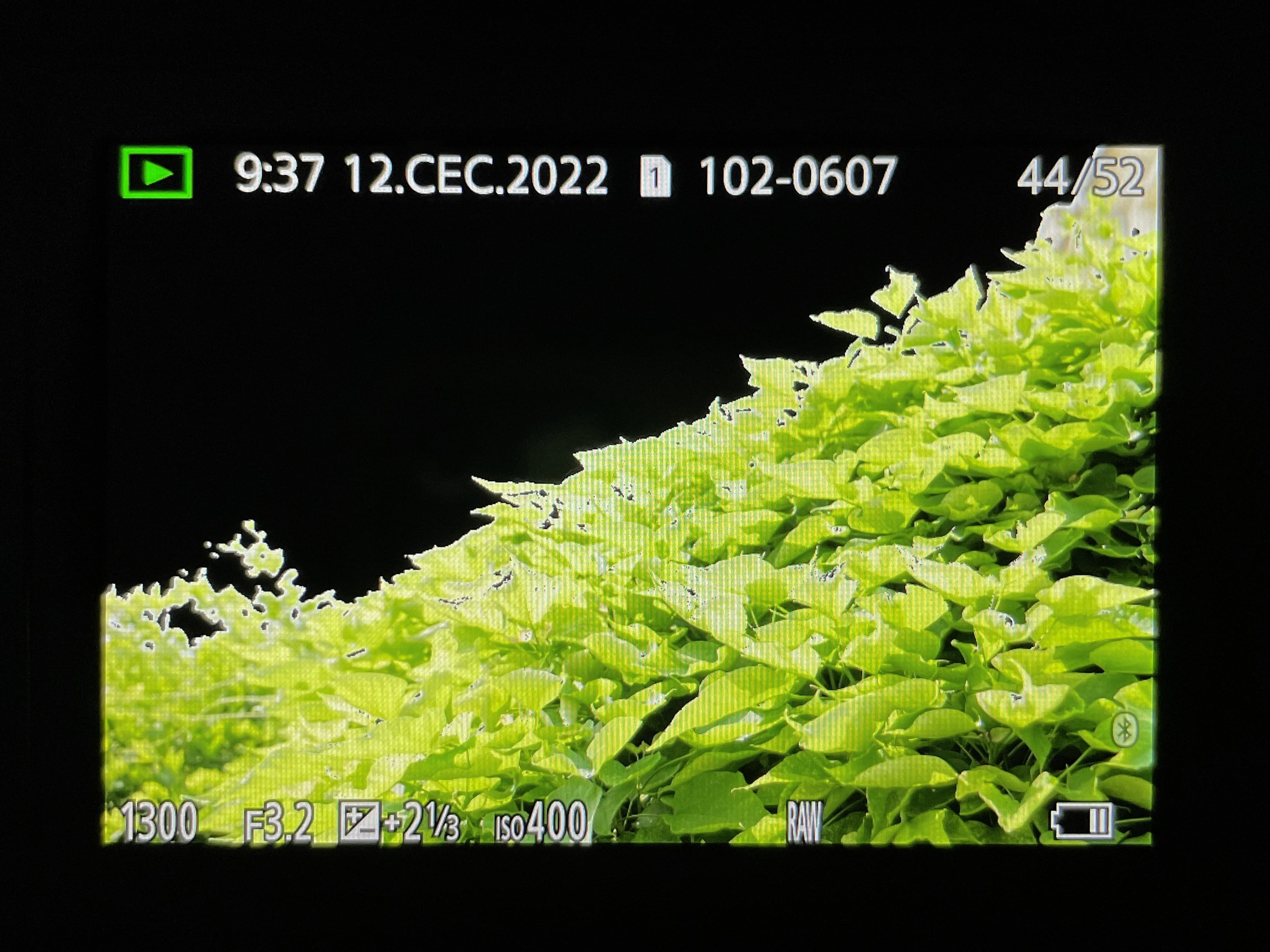 histogram camera