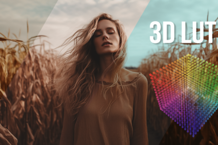 Elevate Color Adjustments with 3D LUTs for Superior Results