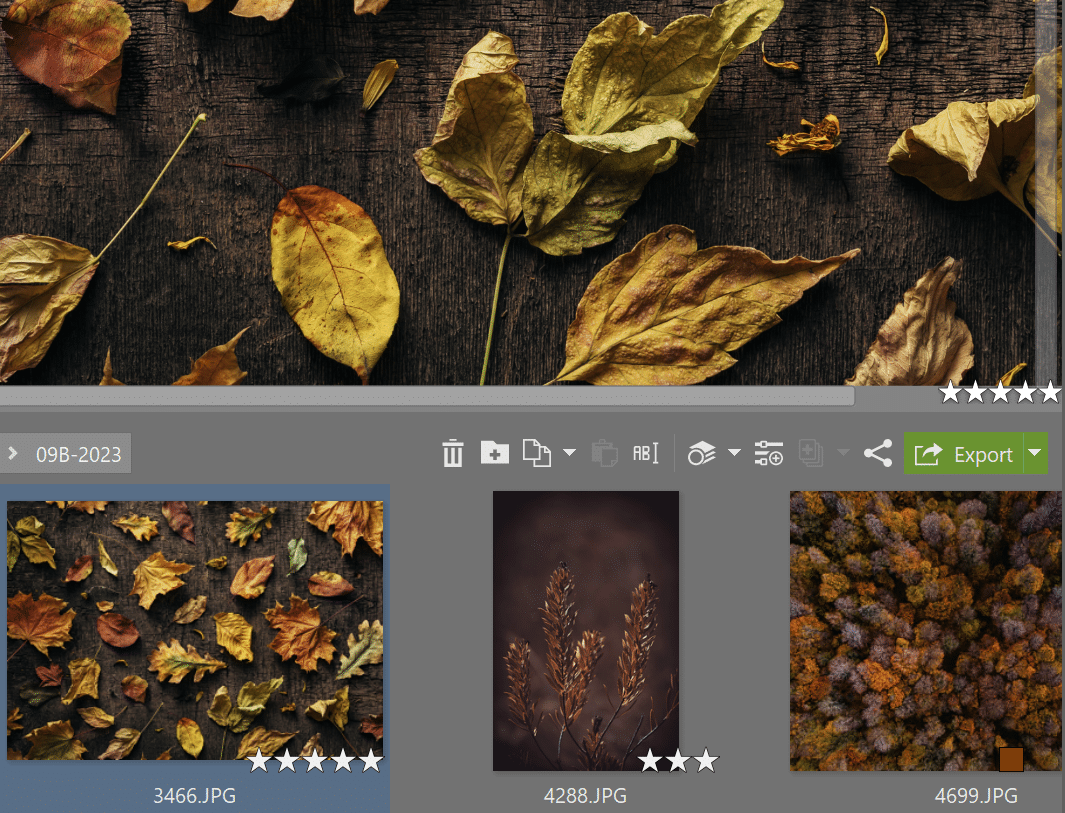 Navigation and Toolbars