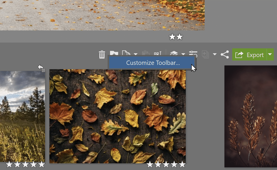 Customize Zoner Studio, customize toolbar