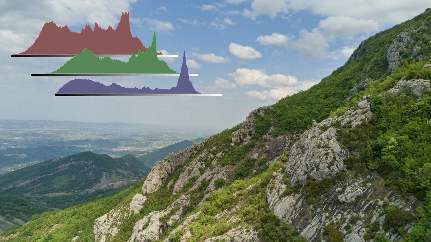 How to Use the Histogram for Photo Editing