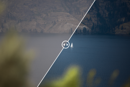 How to Remove Fog from Your Photos