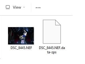 Zoner Studio, metadata