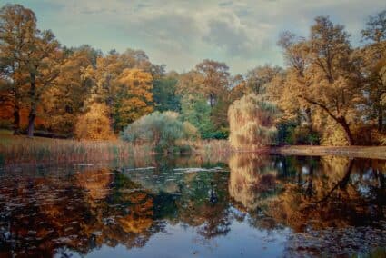 TOP 10 - Theme Fall Colors, Gallery: Laurencia Helásková