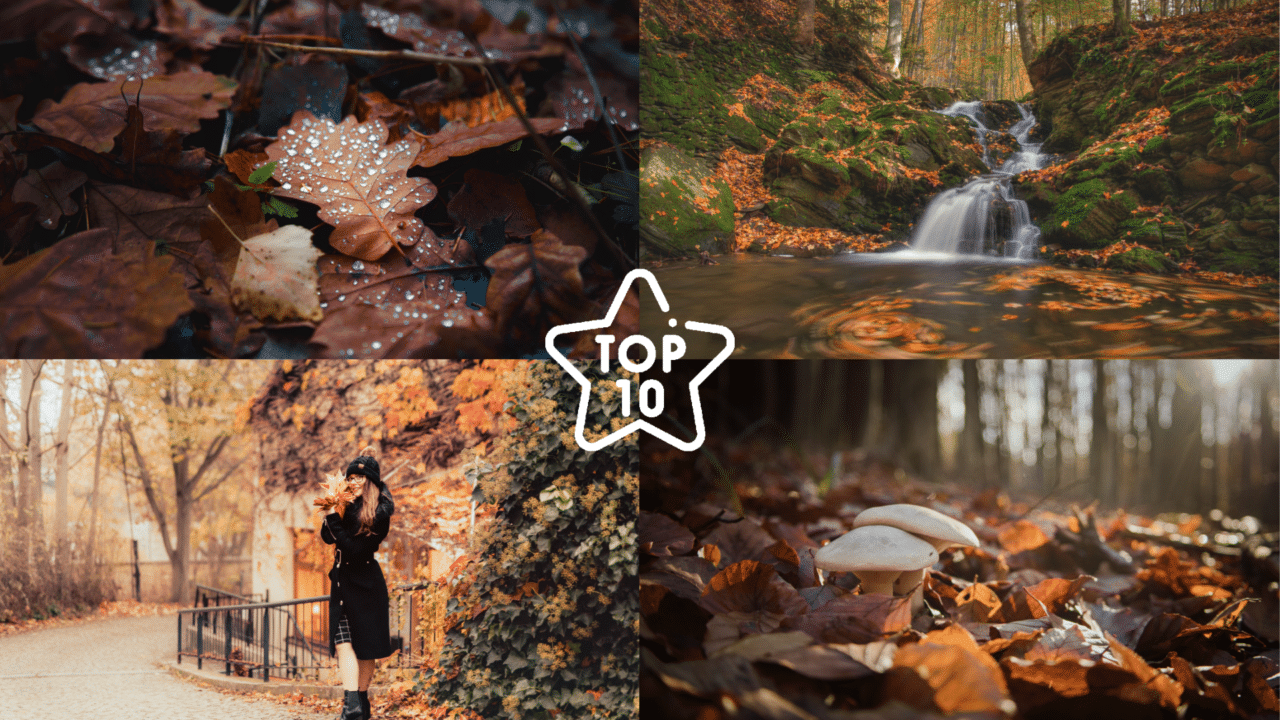 TOP 10 Photos from Our Readers… | Learn Photography by Zoner Studio