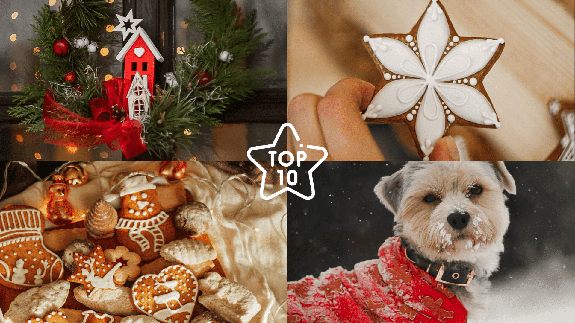 TOP 10 Photos from Our Readers - Theme Holiday Tidbits