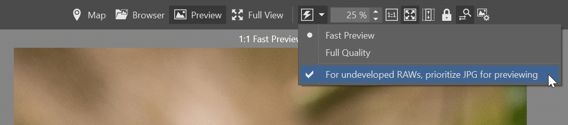 RAW+JPG Duo, Fast preview