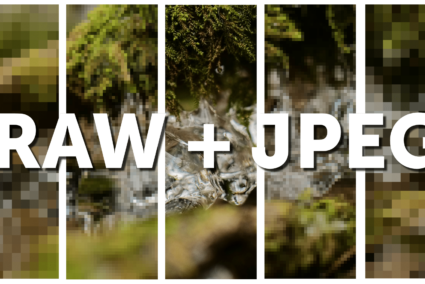 Mastering RAW and JPG Duo