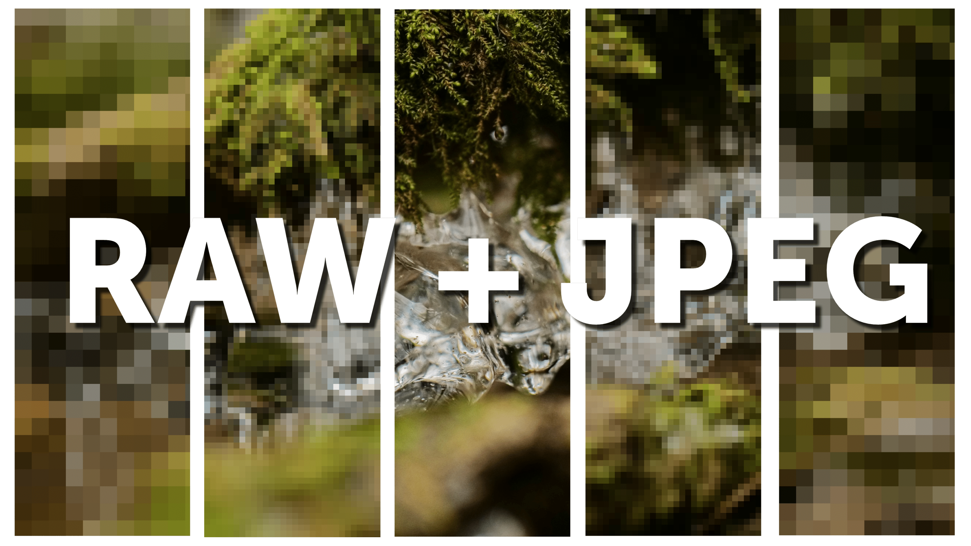 Mastering RAW+JPG Duo