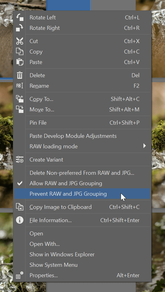 RAW+JPG Duo, prevent grouping