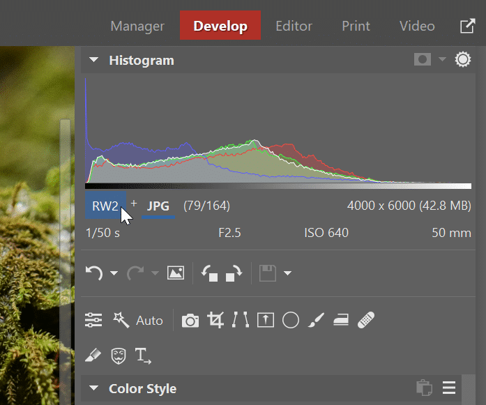 RAW+JPG Duo, switch formats
