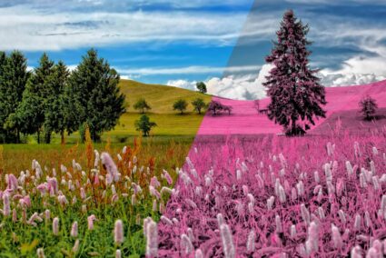 How to Create an Infrared Photo Effect in Zoner Photo Studio X