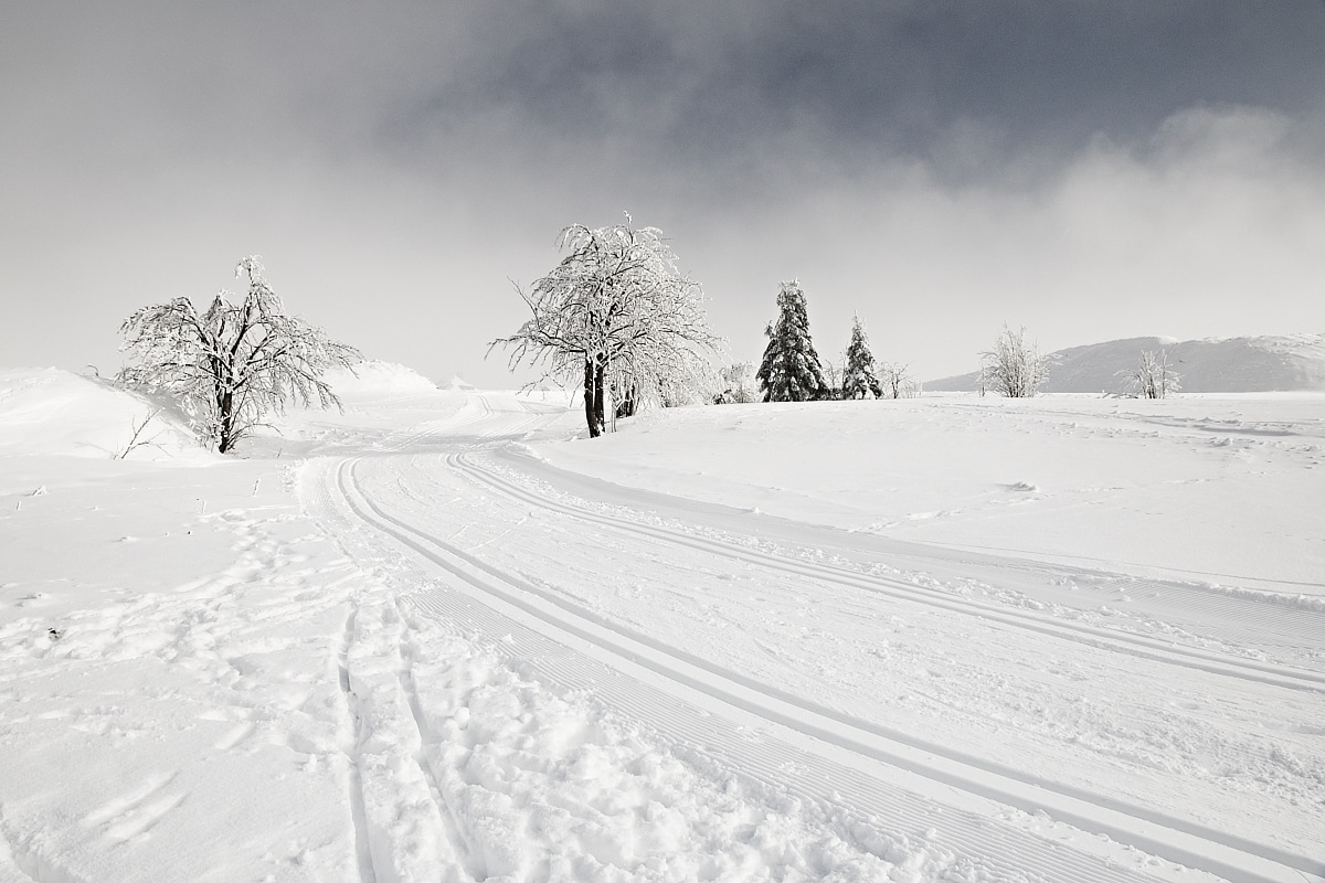 TOP 10, Winter magic, Jana Hrnková
