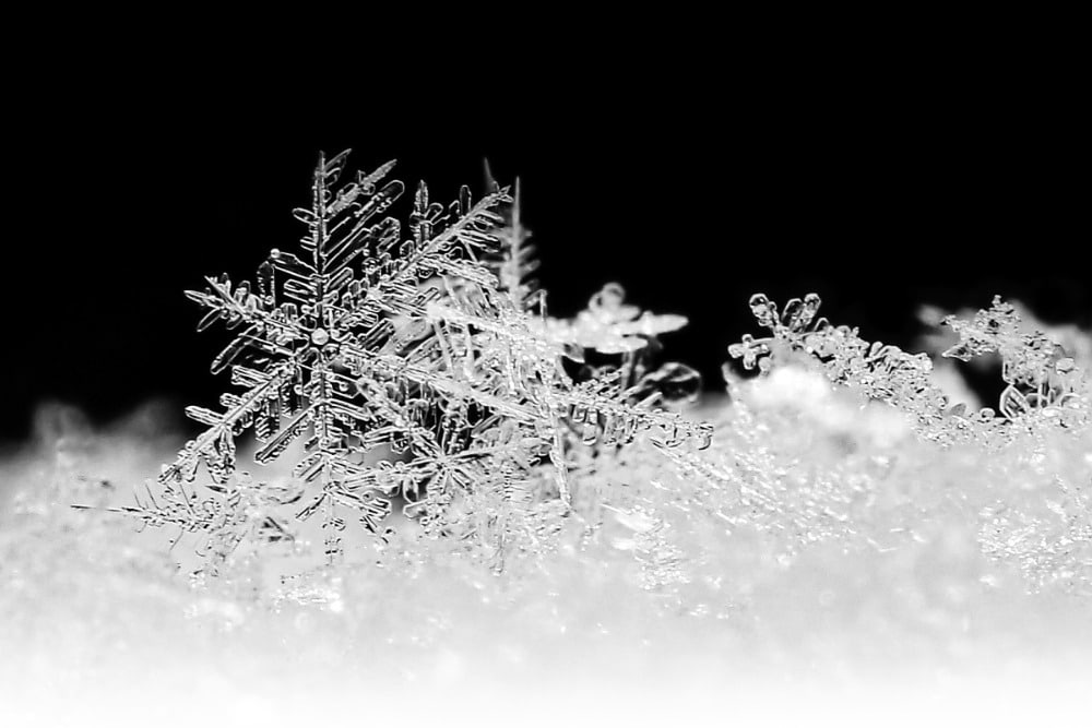 TOP 10, Winter magic, Marta Čížková