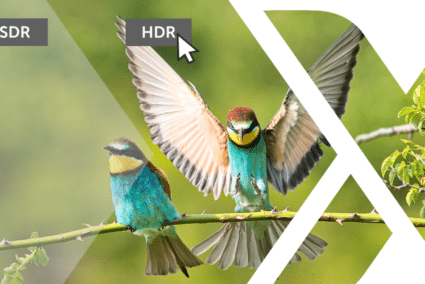 HDR Editing Brings Your Photos out of the Shadows
