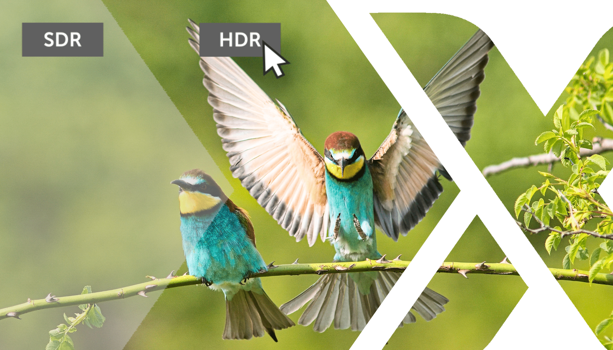 HDR Editing Brings Your Photos out of the Shadows