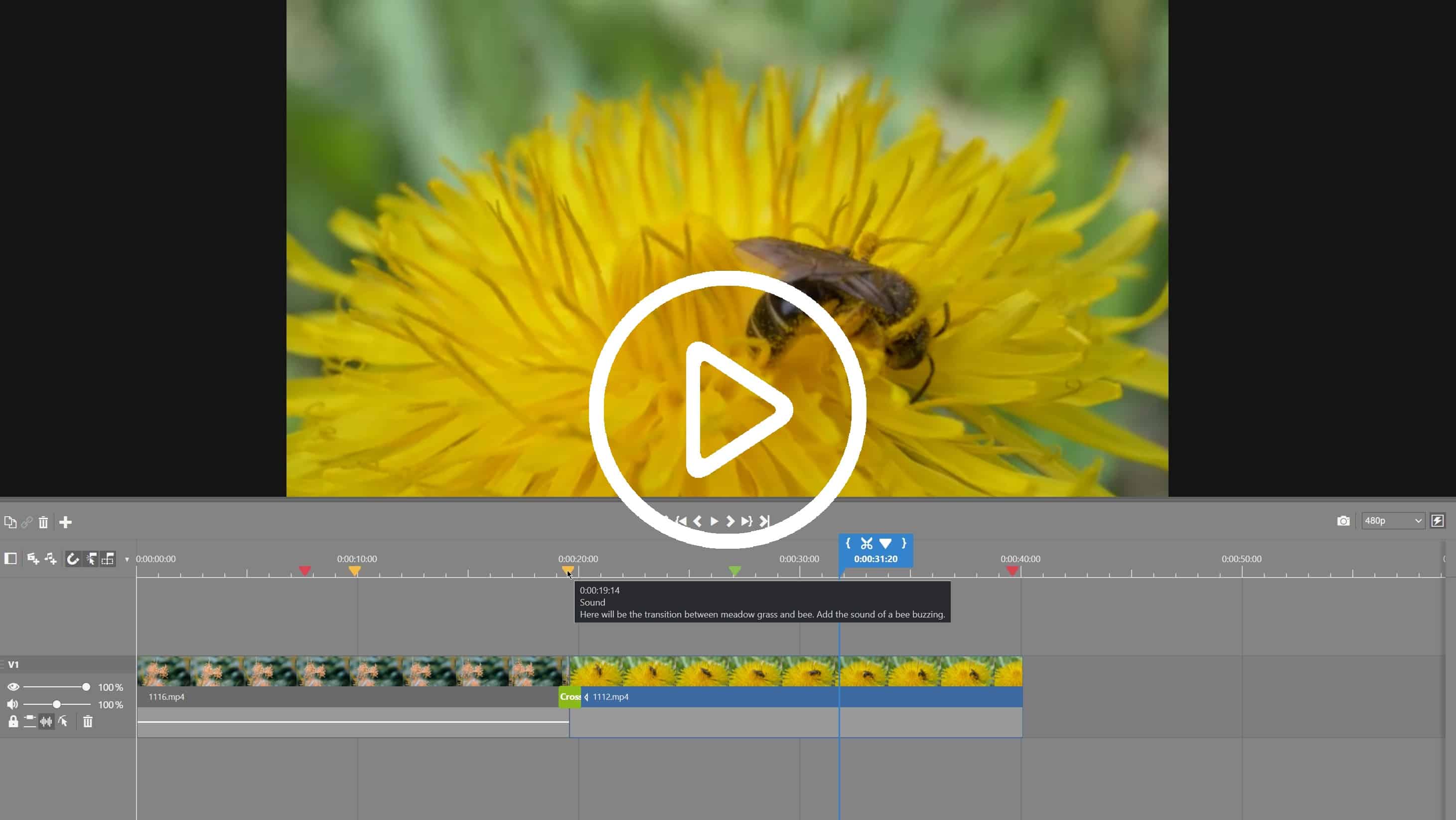 Improve Your Video Projects with Markers