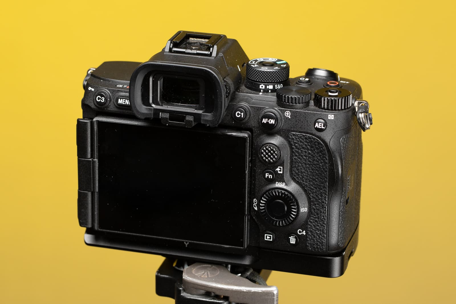 Why I Made the Switch from the Canon R5 to the Sony A7R V | Learn ...